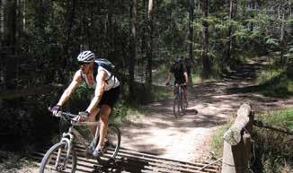 Mountain bike riders Similar to walkers, since the development of the activity there are a range of sub-groups of mountain biking such as cross-country biking, all-day endurance biking, freeride