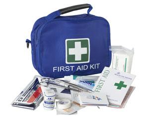 11 First Aid 22. First Aid Everyday Kit 50 plastic strips (band aids), 5cm conforming bandage, Pair disposable gloves, 12.5cm stainless steel forceps, Triangular bandage, 3 knuckle dressings, 12.