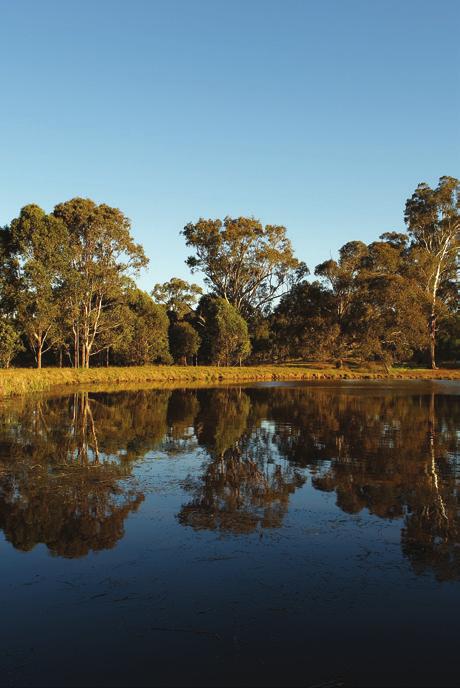 Work with the Western Sydney community to develop a sense of ownership of the Parklands.