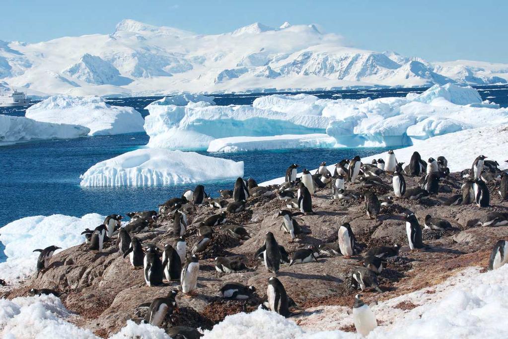 Join us in the Ice! This exceptional small-ship Antarctic expedition will explore remote coastlines from south of the Lemaire Channel to the northern tip of the Antarctic Peninsula.