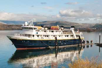 National Geographic Sea Bird and Sea Lion CAPACITY: 62 guests in 31 outside cabins. REGISTRY: United States. OVERALL LENGTH: 152 feet.