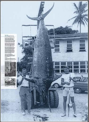 2: Name the big fish that changed Cairns Answer: Gallery contains