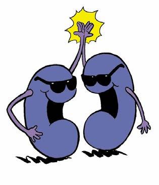 This month The Kidney Brothers are the featured OrganWise Guys! Choose two of the pictures below and try your hand at drawing them.