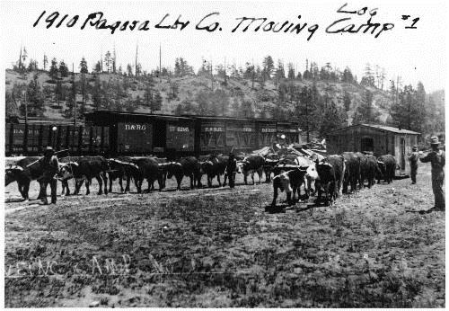 RD079-013 Pagosa Lumber Company Railroads and Sawmills 60 Author Sullenberger, Robert Author 94.26.