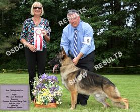 DOGS 12-18 DOG 5 WD/BOS Kysarah s Pot Of Gold DN361440-02 03/18/13 Breeder: Frank DeBem By: Ch. Kysarah s Rolling Stone,CGC X Ch.