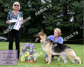 AMERICAN BRED DOGS 10 RWD Forest Hill s Patriot DN34765903 07/04/12 Breeder: Rose O Connell & Hayley Martell By: Ch.