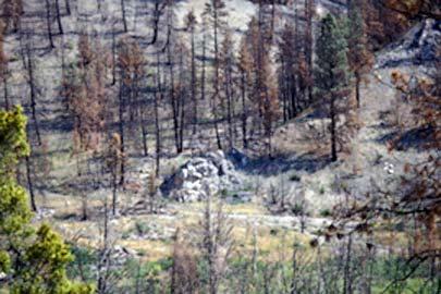 Fire and Rock Art in the Helena National Forest Mavis Greer and John Greer Paper Presented at the 59 th Annual Meeting of the Plains Anthropological Society Lincoln, Nebraska November 2001 Natural