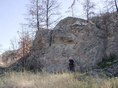 The site is located on a south facing limestone outcropping at the end of a fin in the Magpie Creek valley bottom.