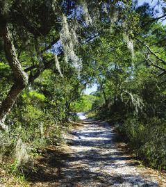 Located on East Nursery Road about three miles north on County Highway 393, the hiking trail is perfect for bird watching and outdoor recreation as it loops through pine flatwoods connected to the