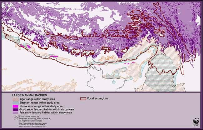 Current and potential ranges of larger mammals in the Eastern Himalaya Altitudinal migrations Many of the animal species, especially the birds, that live in the eastern Himalaya move up and down the