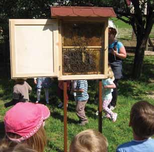 Otroci so odgovarjali na zastavljena vprašanja. Mislili so, da čebela prinaša med v panj, vendar jim je postopek razjasnil čebelar.