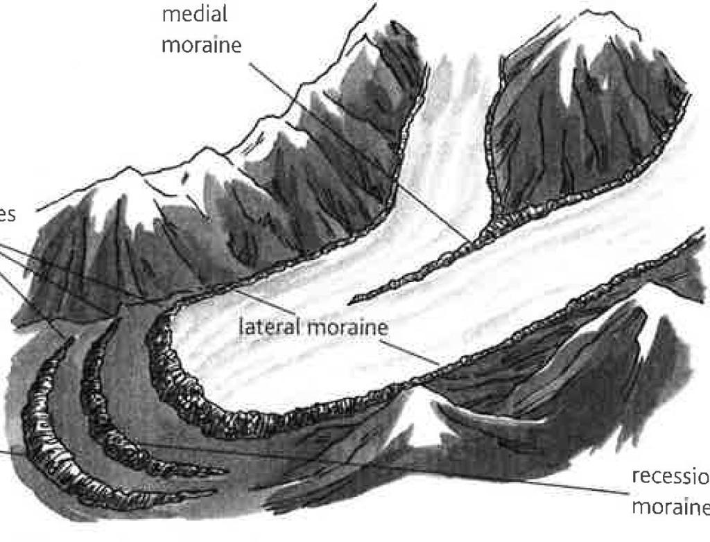 Moraine: Material carried aong and then deposited (dropped) by the glacier. Explain the formation of moraine. (4marks) Material is added to a glacier through freeze thaw and plucking.
