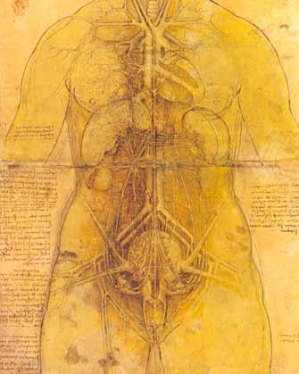 Zanimivo Mojsterski da Vincijev prikaz topografske anatomije. Prikaz gravidne maternice. delu je sodeloval dr. Marcantonio della Torre (1481 1512), ki je sprva živel v Firencah, nato pa v Pavii.