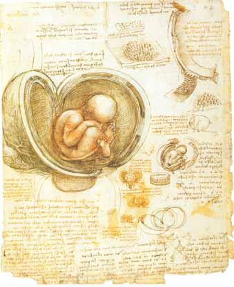 della Torre umrl v epidemiji kužne bolezni in je izdaja knjige zastala vse do leta 1580, ko je v skrajšani izdaji vendarle ugledala luč sveta pod naslovom Traktat o slikarstvu.