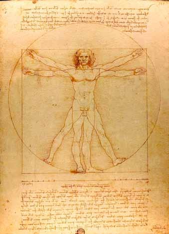 Zanimivo Da Vincijevi proporci človeškega telesa. Za raziskave možganov je uporabljal tehniko vbrizgavanja tekočega voska v možganske prekate.