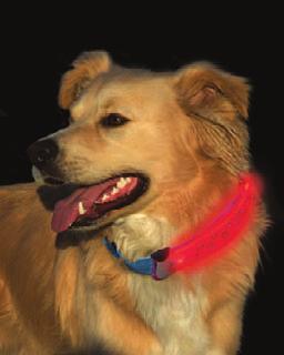 LED // PET HARDWARE NITEDAWGCOLLAR LED DOG COLLAR The NiteDawg LED Light-Up Dog Collar is made of high quality nylon, and features a flexible, light-transmitting polymer core that shines a bright red
