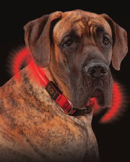 AVAILABLE NYLON COLORS Bright Red LED with 360 degree visibility Glow and Flash Modes Reflective stripe adds passive visibility PET LED Easily replaceable battery included: 1 x 2032 3V Lithium