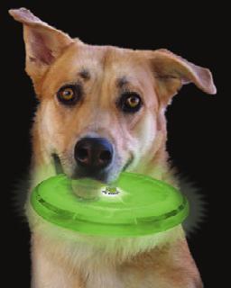 LED // PET FLASHFLIGHT DOG DISCUIT LED LIGHT-UP FLYING DISC The Flashflight LED Dog Discuit is a soft-touch plastic flying disc made specifically for nighttime play with your disc-loving dog.