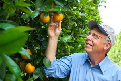 Agriculture on Reclaimed Land Along with providing essential crop nutrients to farmers across America, Mosaic farms its own citrus groves.