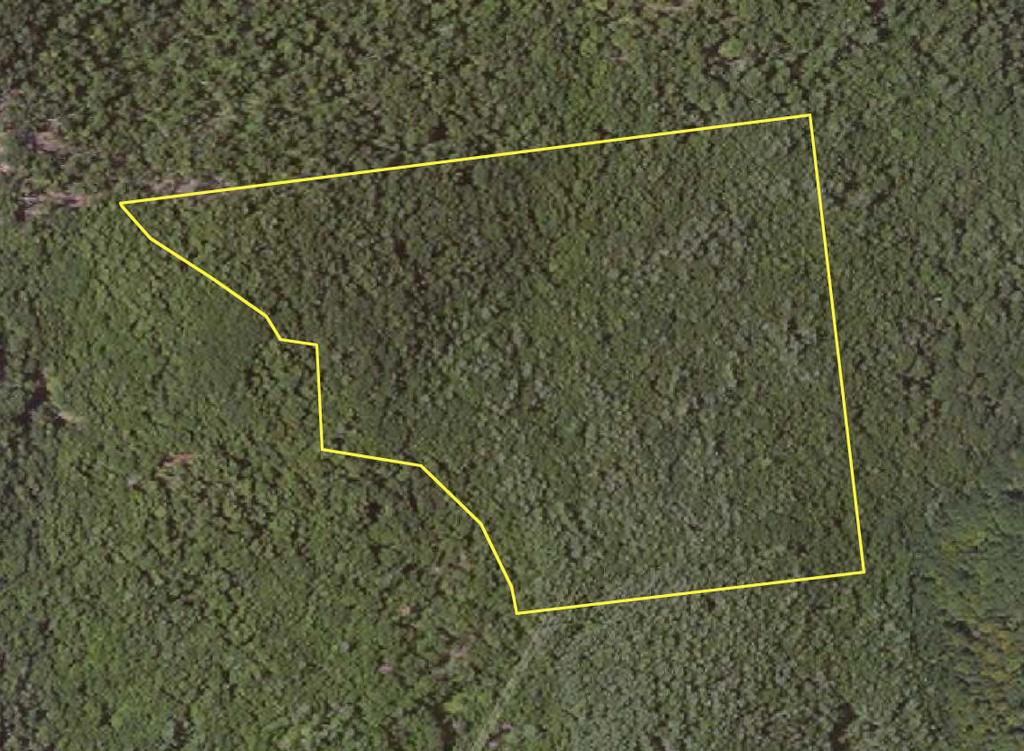 Stonewall Border Aerial map does not reflect recent logging preformed.
