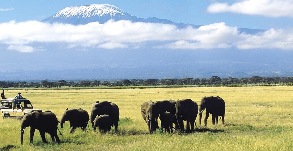 There are 80 cottage style rooms scattered throughout the well-manicured lawns and acacia trees with magnificent views of Mount Kilimanjaro. Large herds of Elephant often roam nearby.