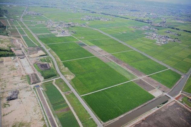 Restoration of Farmland [Today] [After the Earthquake] Removal of debris and desalinization Resumed farming in the eastern part of Sendai from FY2015 Rice paddies covered in debris