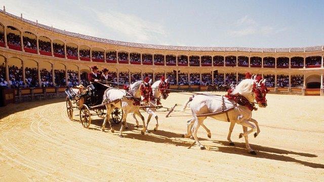 Gala Dinner with Horseshow at Bullfight Arena in Ronda Ronda is one of the oldest cities of Spain.