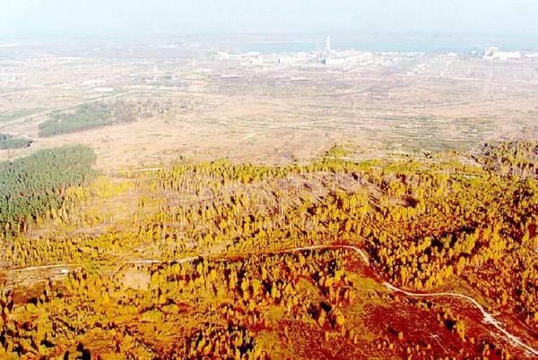 The forests around Chernobyl have been turned reddish-brown due