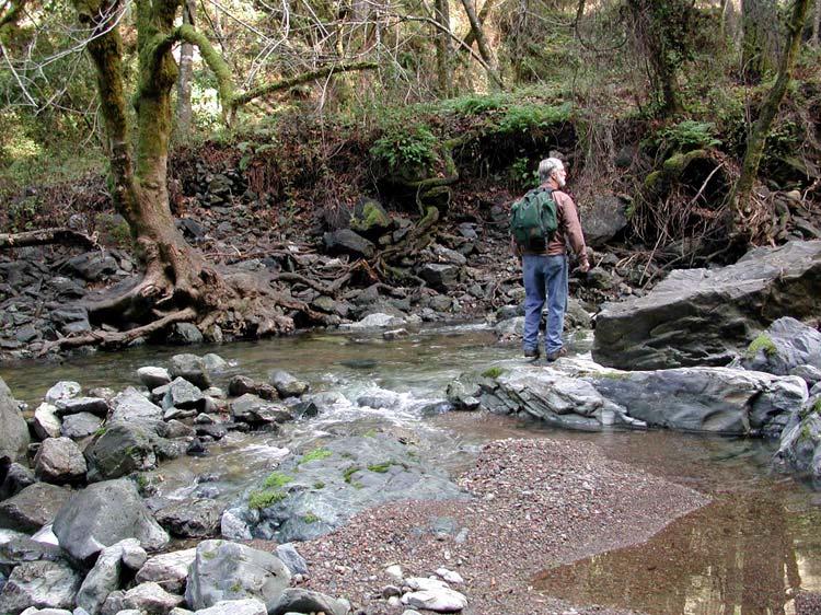 VENTANA WILD RIVERS PROPOSAL Comments: There are no private inholdings on Willow Creek or its North Fork.