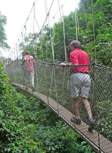 Kakum National Park Traverse the 1,150-foot canopy walkway, 130 feet above the tropical rainforest one of only two such walkways in Africa.