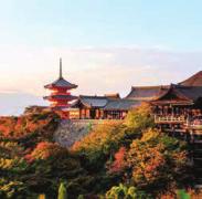 Your last stop is Kiyomizu-dera Temple, which offers panoramic views of the city atop a stunning hillside.