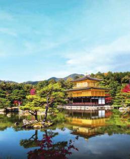fall foliage cruises Brilliant red and gold hues are the hallmarks of an autumn voyage that transports you from Japan s ancient shrines and temples to the shores of South Korea and Taiwan.