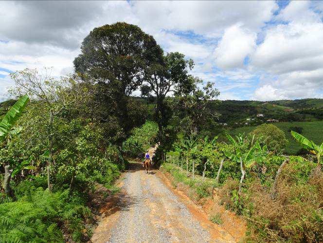 Day 5 Páramo to El Palmar Today s ride takes you past coffee plantations and spectacular mountain scenery.