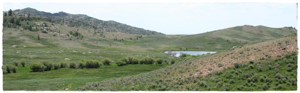 Size 3,331.46± Acres Deeded 1,040.67± Acres State of Wyoming Grazing Lease 680.00± Acres BLM Grazing Permit 2,404.00± Acres U.S. National Forest Grazing Allotment 7,456.