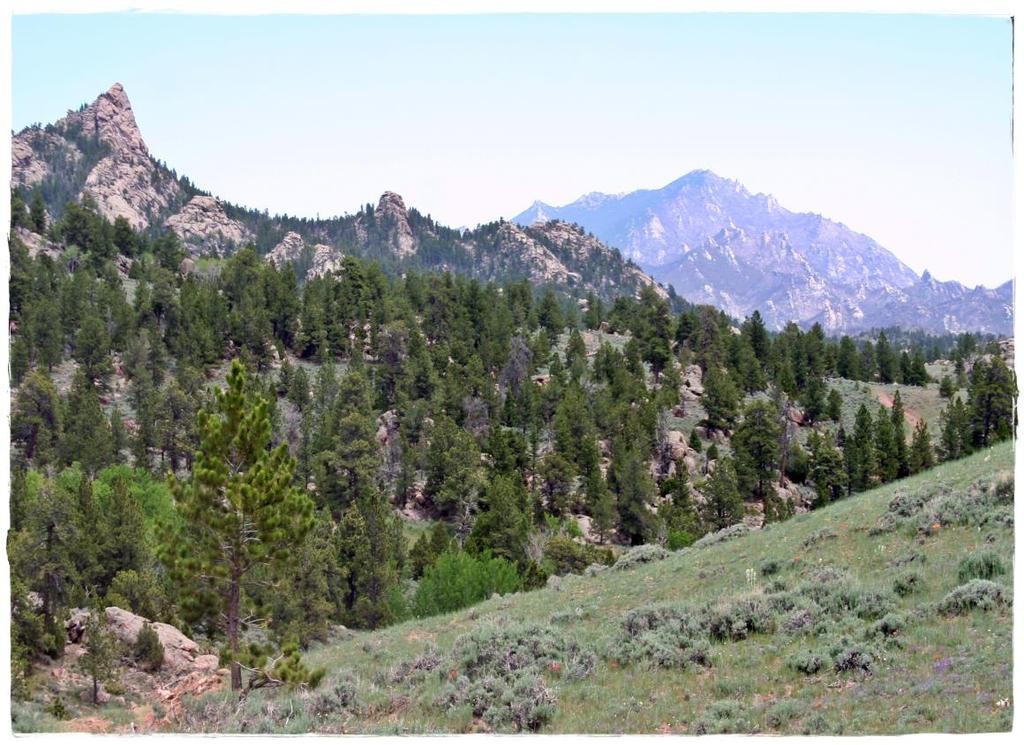 View to Indian Peak in foreground & Laramie Peak