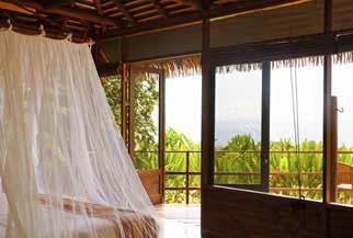 The operation has 16 private bungalows that line three ridges overlooking the area where the Golfo Dulce meets the Pacific Ocean. The bungalows are situated 350 feet above sea level.