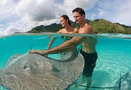 Moorea is known as the activities island and offers a full range of water and land based