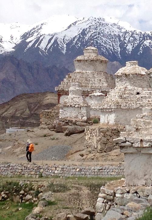 wonderful sights around Leh and Delhi. This awesome nature blast and uplifting cultural encounter will blow your mind! Day 1 Arrive in Delhi and transfer to our well-located hotel in South Delhi.