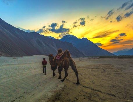 Day 7 Pangong - Leh Activities - Included in your trip Transfer from Camp in Pangong to Hotel in Leh, en route visit Hemis Monastery, Stok Palace & Pangong Tso Lake (NAC Private Vehicle).