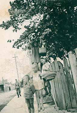 Dramati~nost doga aja u Kraqevu oktobra 1941, koje su svaki pojedinac, svaka porodica, ulica, deo grada na svoj na ~in pre`ivqavali, neverovatnim primerom potvr uje svedo ~ewe Olivere