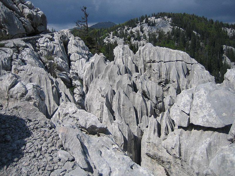 Magnezijev karbonat je takoċer bijele boje i skupa sa kalcijevim karbonatom ĉini sastavni dio sedimentnih stijena.