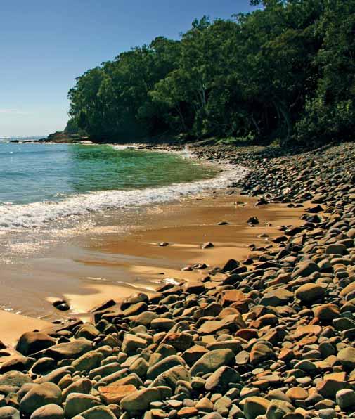 Drive along famous Seventy-Five Mile Beach then turn inland to follow the sand tracks through the tall rainforests.