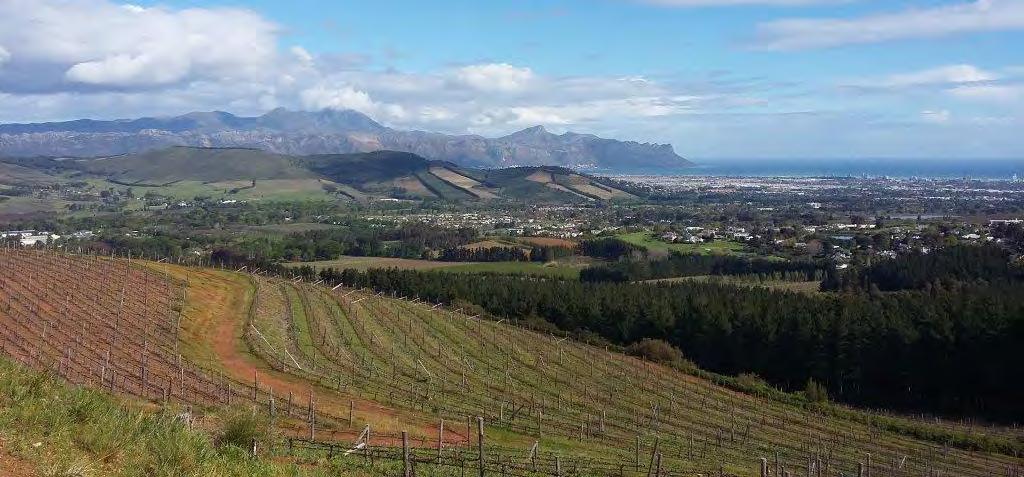 Out & About Guided Walks at Lourensford Enjoy the Helderberg s fresh