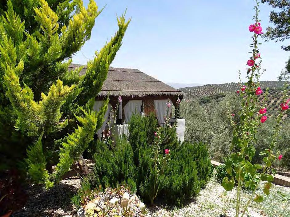Cortijo La Haza - Our discovery, a small but special guest house in total seclusion, was to serve us an