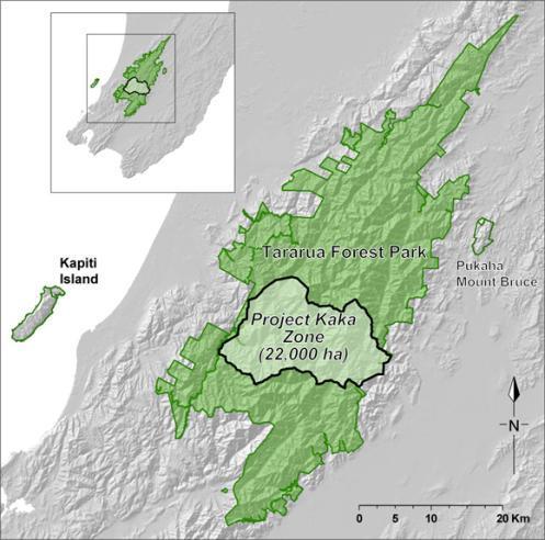 Project Kaka DOC initiative Large scale control 22000 ha Tararua Forest