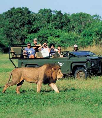 Welcome aboard! rrive into. On to luxurious Mt Kenya Safari Club drive across the equator. Today enter the world of ir Tours Holidays as you embark on your exciting tour of Kenya.