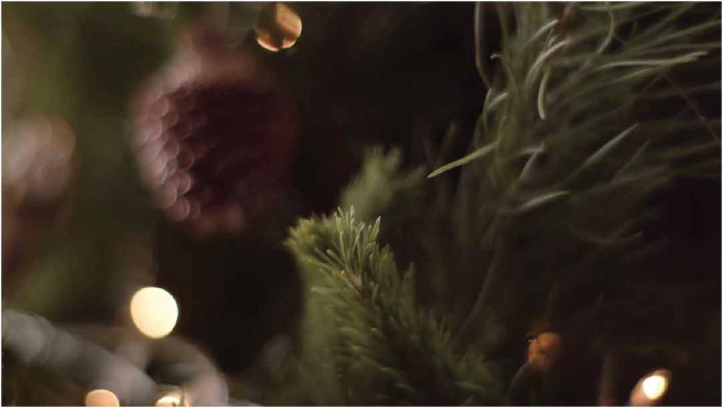 ECOYA FY15 CHRISTMAS VIDEO LAUNCHED NOVEMBER