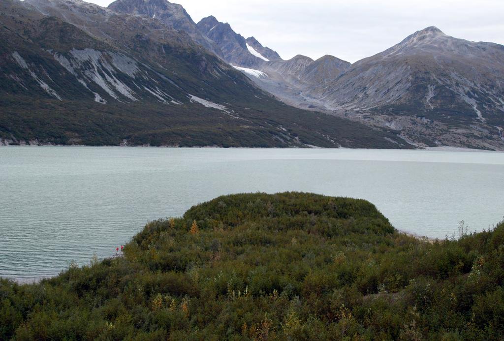NaLonal Park Plateau Glacier retreated more than 3