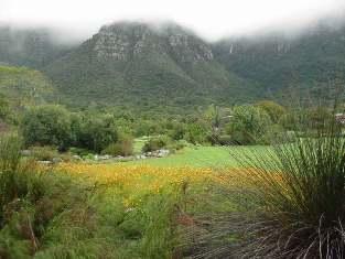 through the former political prison (weather permitting). Aquila Game Reserve Travel through Huguenot Tunnel past beautiful De Doorns in the Hex River valley to Aquila.