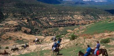 LESOTHO AREA MALEALEA LODGE PONY TREKKING & MTB CENTRE Malealea, Lesotho. 90 km south of Maseru. 082 552 4215 info@malealealodge.com http://www.malealea.com Self & Fully catered lodge, Pony treks Wayfarer.